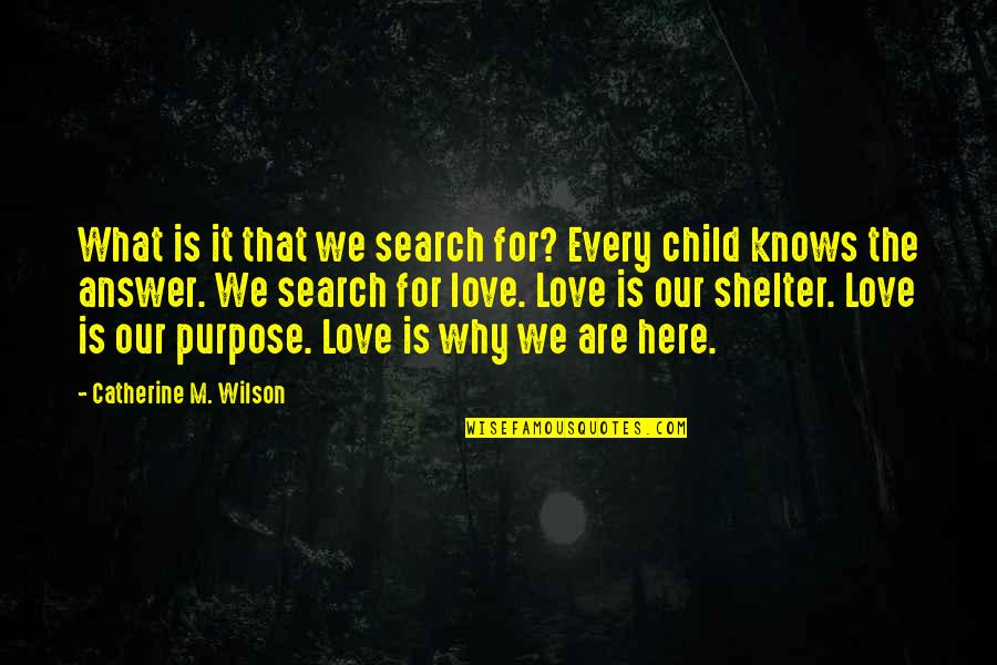 Love Child Quotes By Catherine M. Wilson: What is it that we search for? Every