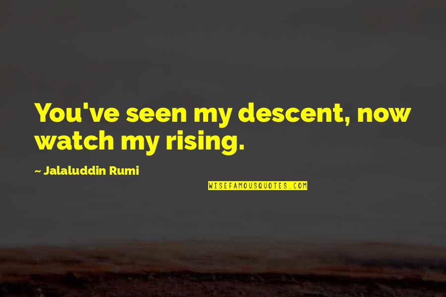 Love Cold Climate Quotes By Jalaluddin Rumi: You've seen my descent, now watch my rising.