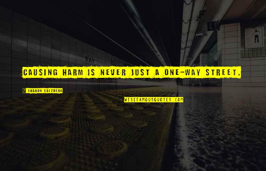 Love Conflict Quotes By Sharon Salzberg: Causing harm is never just a one-way street. Love Conflict Quotes By Sharon Salzberg: Causing harm is never just a one-way street.