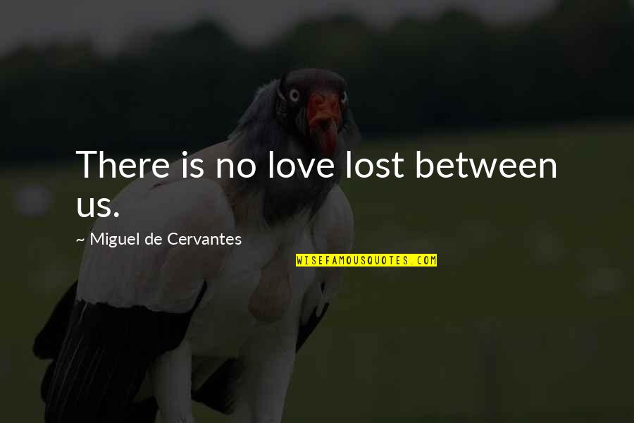 Love Confusion Quotes By Miguel De Cervantes: There is no love lost between us.