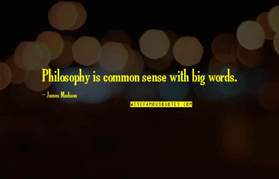 Love Cute Funny Quotes By James Madison: Philosophy is common sense with big words.