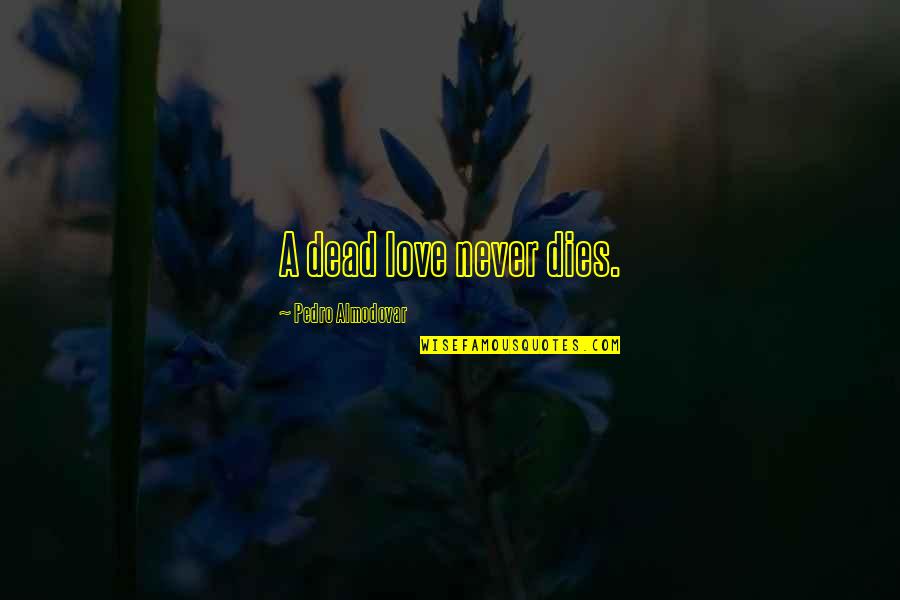Love Dies Quotes By Pedro Almodovar: A dead love never dies.