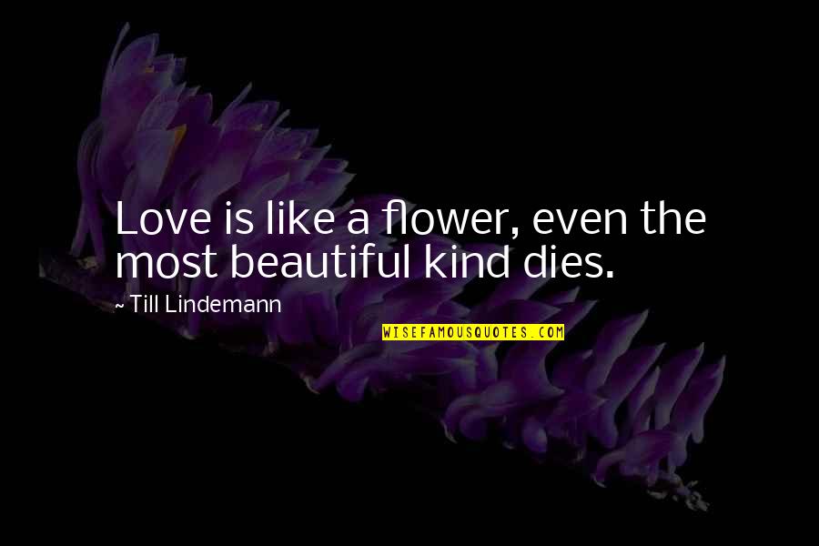Love Dies Quotes By Till Lindemann: Love is like a flower, even the most