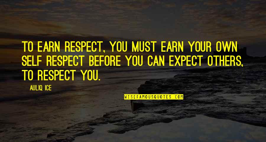 Love Dignity Respect Quotes By Auliq Ice: To earn respect, you must earn your own