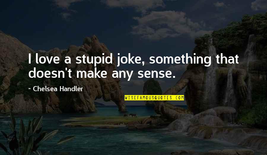 Love Doesn't Make Sense Quotes By Chelsea Handler: I love a stupid joke, something that doesn't