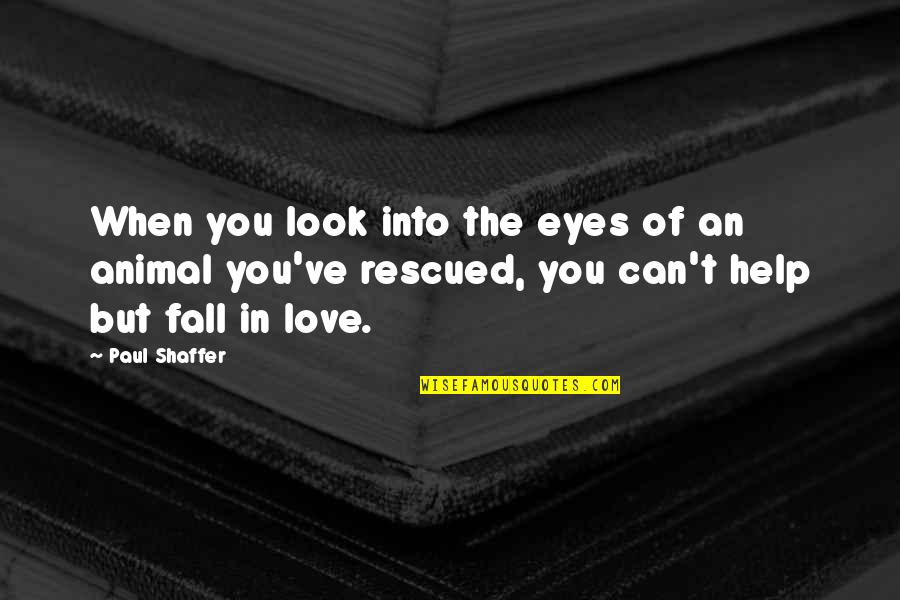 Love Double Edged Sword Quotes By Paul Shaffer: When you look into the eyes of an