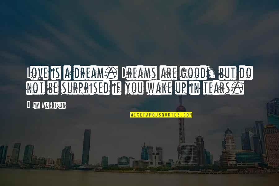 Love Dreams Quotes By Jim Morrison: Love is a dream. Dreams are good, but