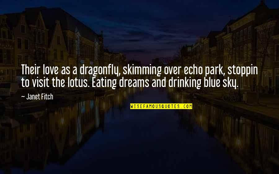 Love Eating Quotes By Janet Fitch: Their love as a dragonfly, skimming over echo