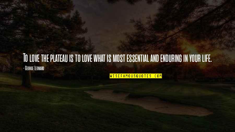 Love Endure Quotes By George Leonard: To love the plateau is to love what
