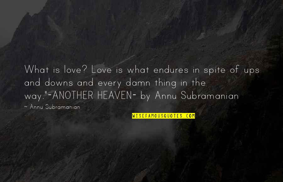 Love Endures All Quotes By Annu Subramanian: What is love? Love is what endures in