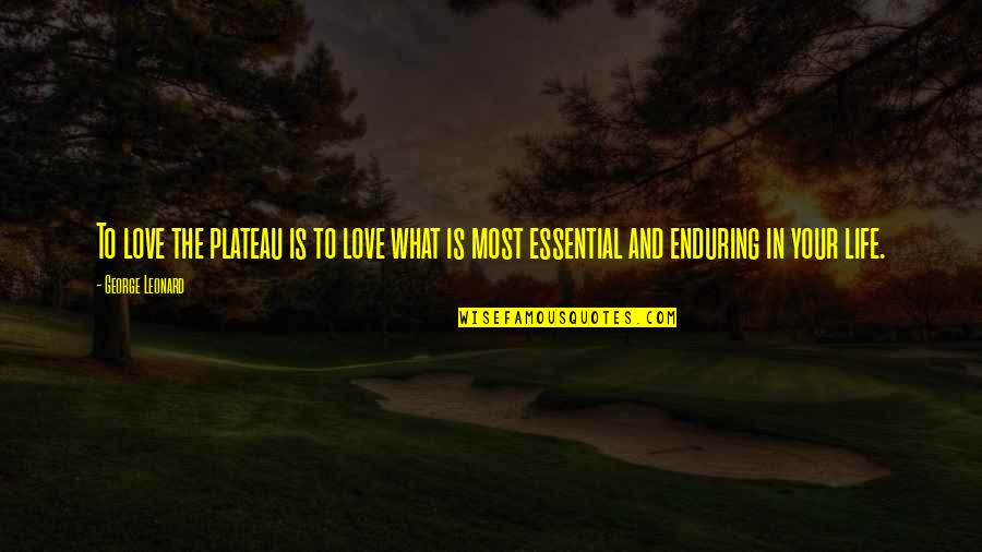 Love Enduring All Quotes By George Leonard: To love the plateau is to love what