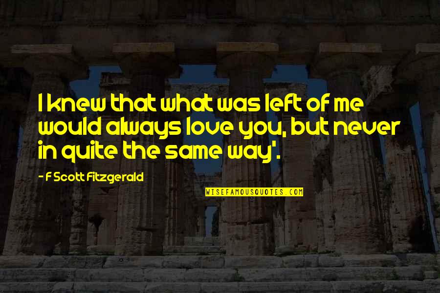 Love F Scott Fitzgerald Quotes By F Scott Fitzgerald: I knew that what was left of me