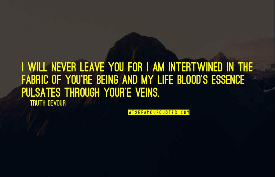 Love Fabric Quotes By Truth Devour: I will never leave you for I am