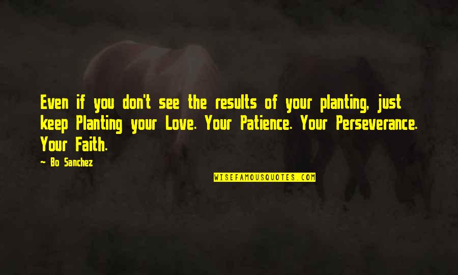 Love Faith Patience Quotes By Bo Sanchez: Even if you don't see the results of