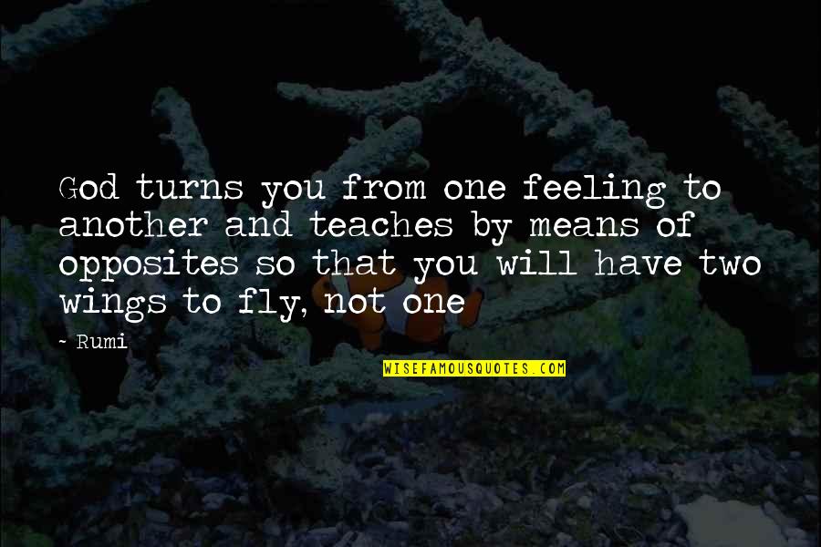 Love Feeling Quotes By Rumi: God turns you from one feeling to another