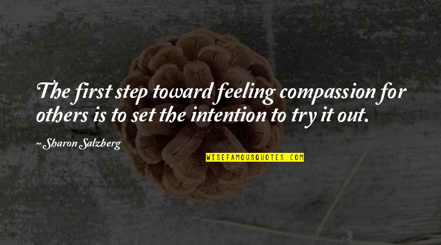 Love First Step Quotes By Sharon Salzberg: The first step toward feeling compassion for others