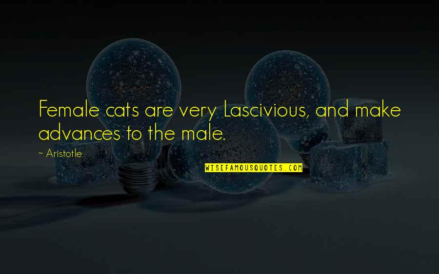 Love For A Sister Quotes Quotes By Aristotle.: Female cats are very Lascivious, and make advances