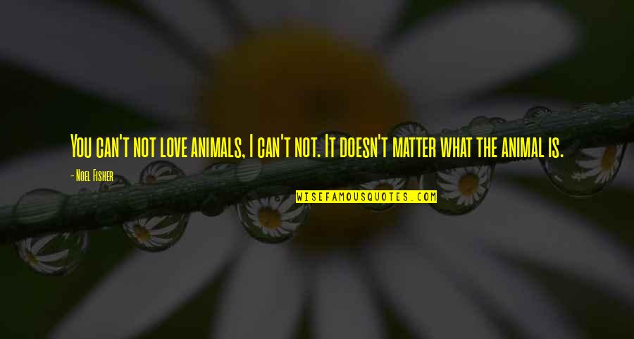 Love For Animals Quotes By Noel Fisher: You can't not love animals, I can't not.