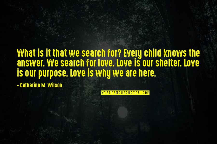 Love For Child Quotes By Catherine M. Wilson: What is it that we search for? Every