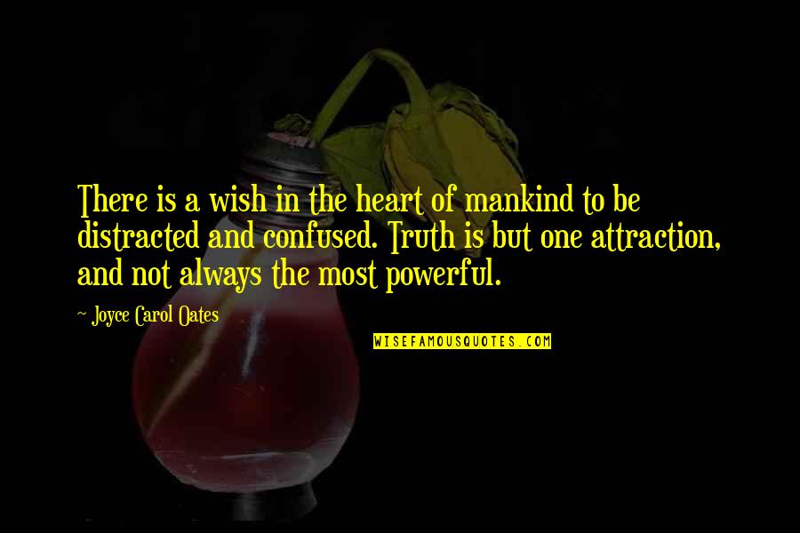 Love For Mankind Quotes By Joyce Carol Oates: There is a wish in the heart of