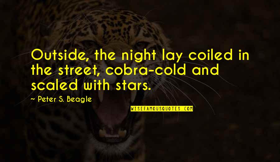 Love From Classic Movies Quotes By Peter S. Beagle: Outside, the night lay coiled in the street,