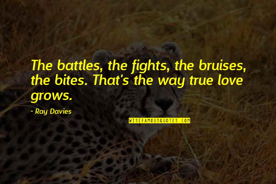 Love Grows Quotes By Ray Davies: The battles, the fights, the bruises, the bites.