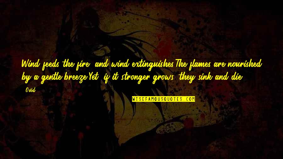 Love Grows Stronger Quotes By Ovid: Wind feeds the fire, and wind extinguishes:The flames