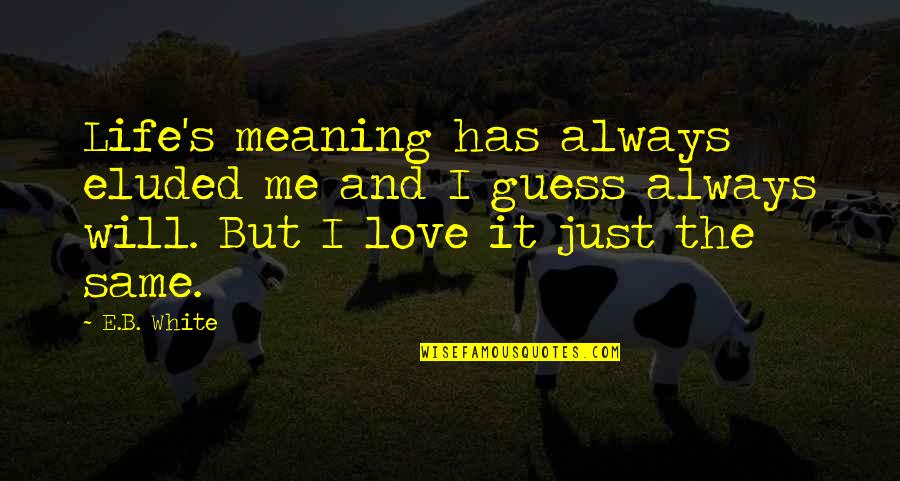 Love Has No Meaning Quotes By E.B. White: Life's meaning has always eluded me and I