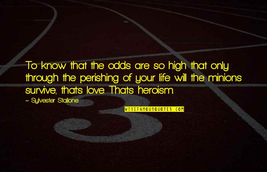 Love Hero Quotes By Sylvester Stallone: To know that the odds are so high