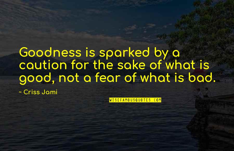 Love Holiness Quotes By Criss Jami: Goodness is sparked by a caution for the