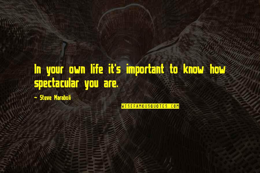 Love How You Love Quotes By Steve Maraboli: In your own life it's important to know