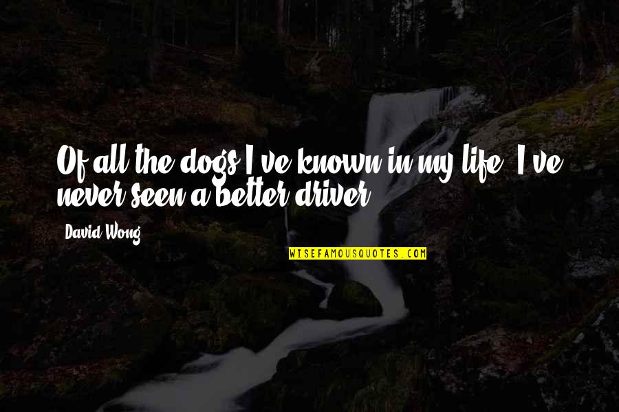 Love Hurdles Quotes By David Wong: Of all the dogs I've known in my