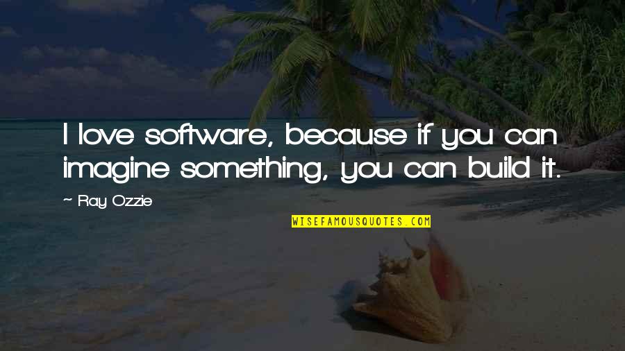 Love Imagine Quotes By Ray Ozzie: I love software, because if you can imagine
