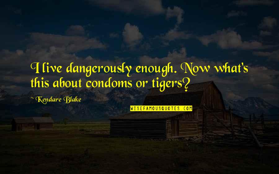 Love Imam Ali Quotes By Kendare Blake: I live dangerously enough. Now what's this about