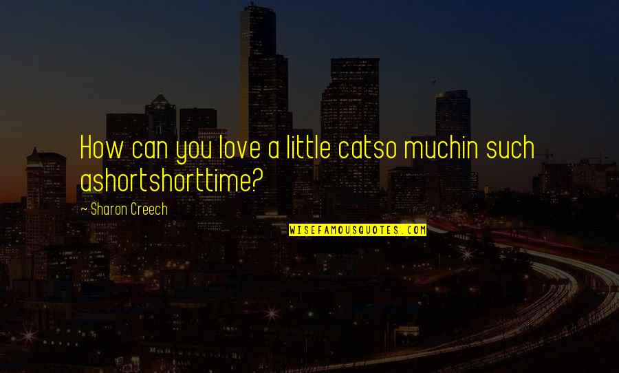 Love In Short Time Quotes By Sharon Creech: How can you love a little catso muchin Love In Short Time Quotes By Sharon Creech: How can you love a little catso muchin