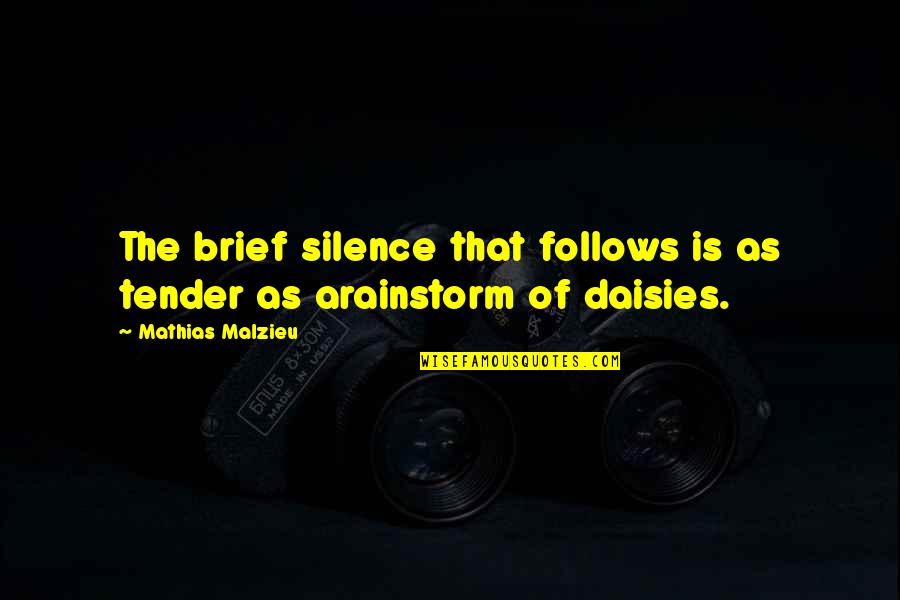 Love In Silence Quotes By Mathias Malzieu: The brief silence that follows is as tender