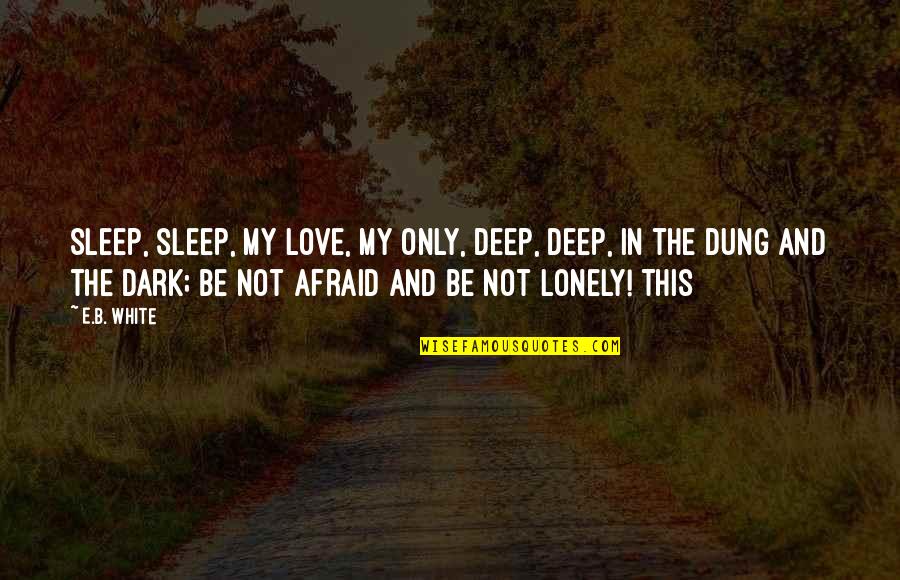 Love In The Dark Quotes By E.B. White: Sleep, sleep, my love, my only, Deep, deep,