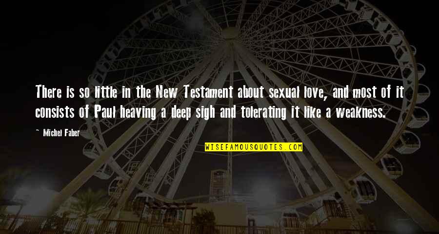 Love In The New Testament Quotes By Michel Faber: There is so little in the New Testament