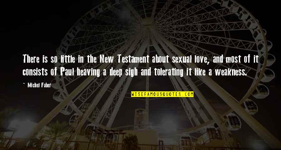 Love In The New Testament Quotes By Michel Faber: There is so little in the New Testament Love In The New Testament Quotes By Michel Faber: There is so little in the New Testament