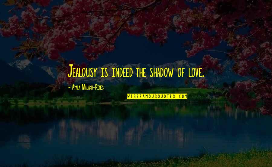 Love Indeed Quotes By Ayala Malakh-Pines: Jealousy is indeed the shadow of love.