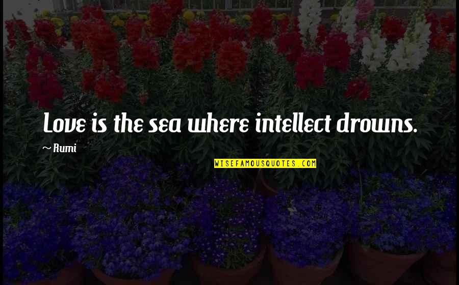 Love Intellect Quotes By Rumi: Love is the sea where intellect drowns.