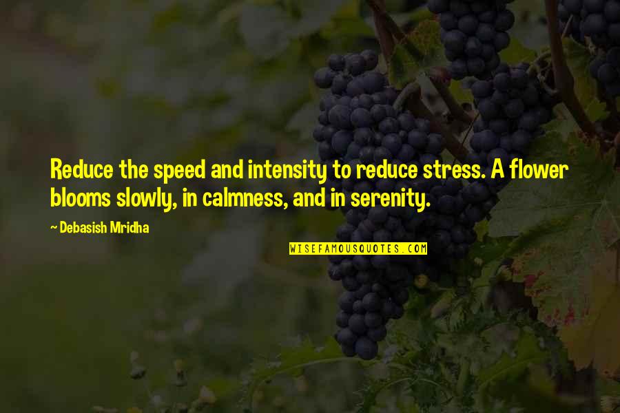 Love Intensity Quotes By Debasish Mridha: Reduce the speed and intensity to reduce stress.