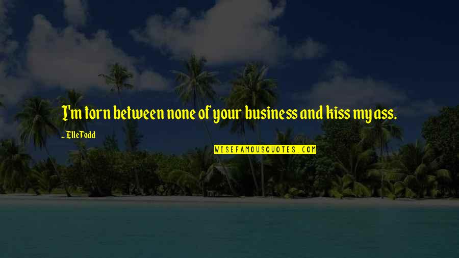 Love Is A Funny Thing Quotes By Elle Todd: I'm torn between none of your business and