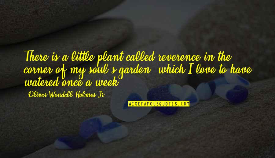 Love Is A Garden Quotes By Oliver Wendell Holmes Jr.: There is a little plant called reverence in