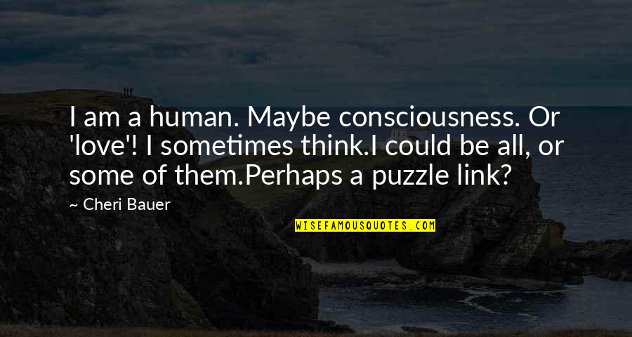 Love Is A Puzzle Quotes By Cheri Bauer: I am a human. Maybe consciousness. Or 'love'!