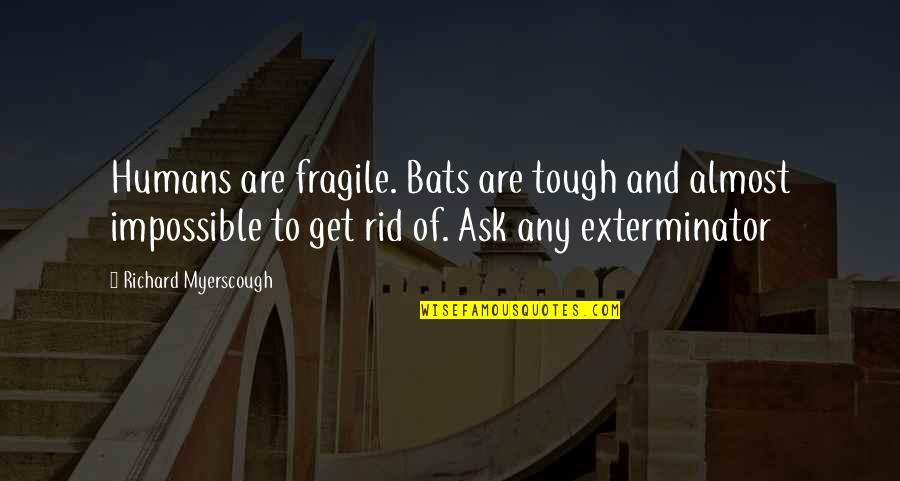 Love Is About Understanding Quotes By Richard Myerscough: Humans are fragile. Bats are tough and almost Love Is About Understanding Quotes By Richard Myerscough: Humans are fragile. Bats are tough and almost
