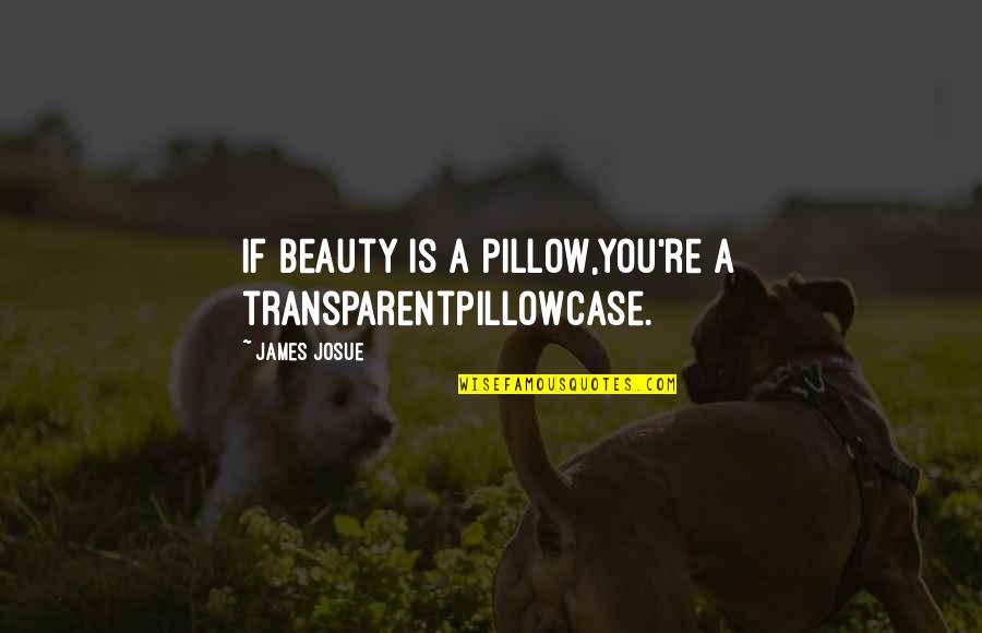 Love Is Alive Quotes By James Josue: If beauty is a pillow,You're a transparentPillowcase.