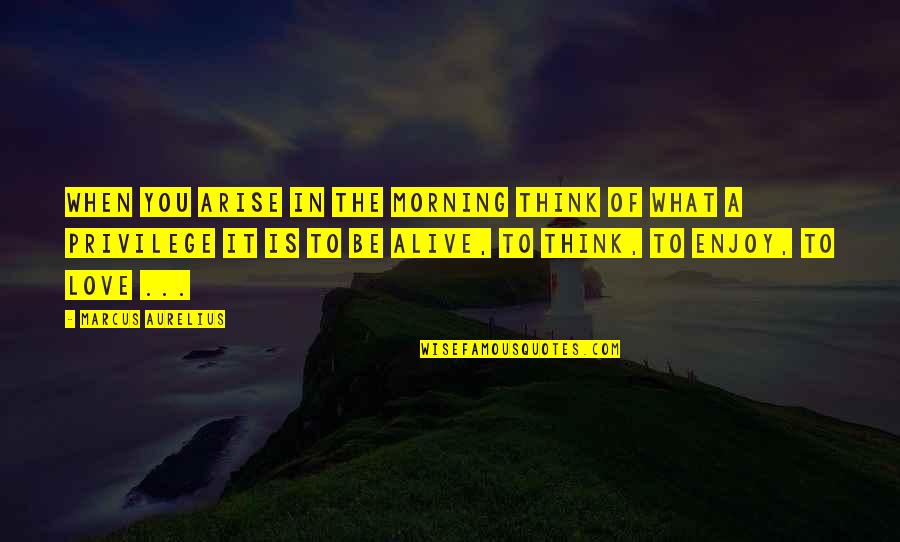 Love Is Alive Quotes By Marcus Aurelius: When you arise in the morning think of