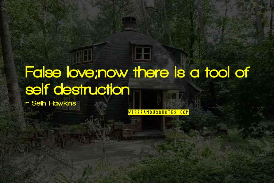 Love Is False Quotes By Seth Hawkins: False love;now there is a tool of self Love Is False Quotes By Seth Hawkins: False love;now there is a tool of self