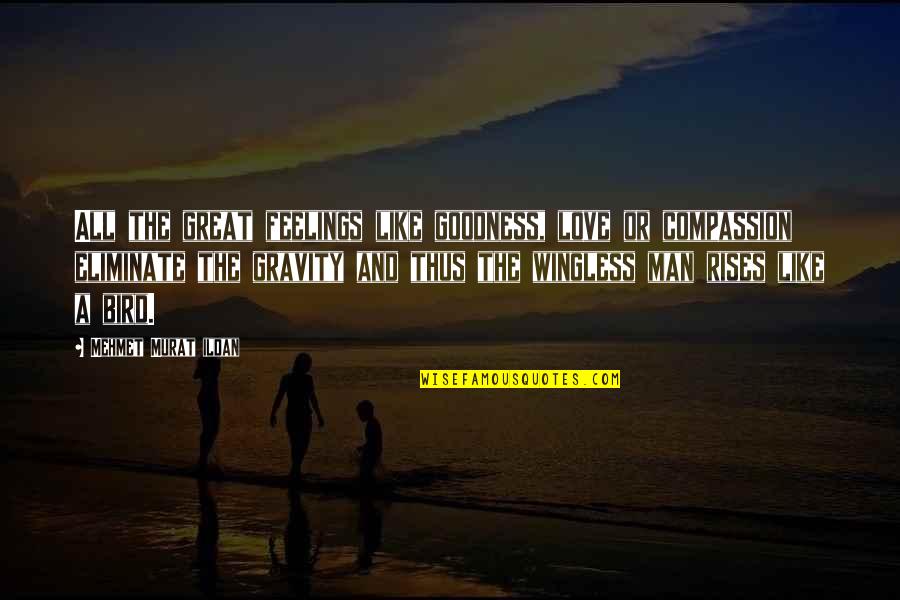Love Is Like A Bird Quotes By Mehmet Murat Ildan: All the great feelings like goodness, love or Love Is Like A Bird Quotes By Mehmet Murat Ildan: All the great feelings like goodness, love or